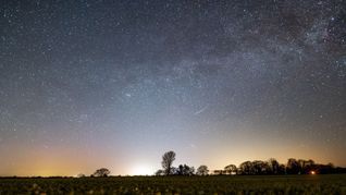 Der Sternenhimmel leuchtet über einem Rapsfeld in Schleswig-Holstein.
