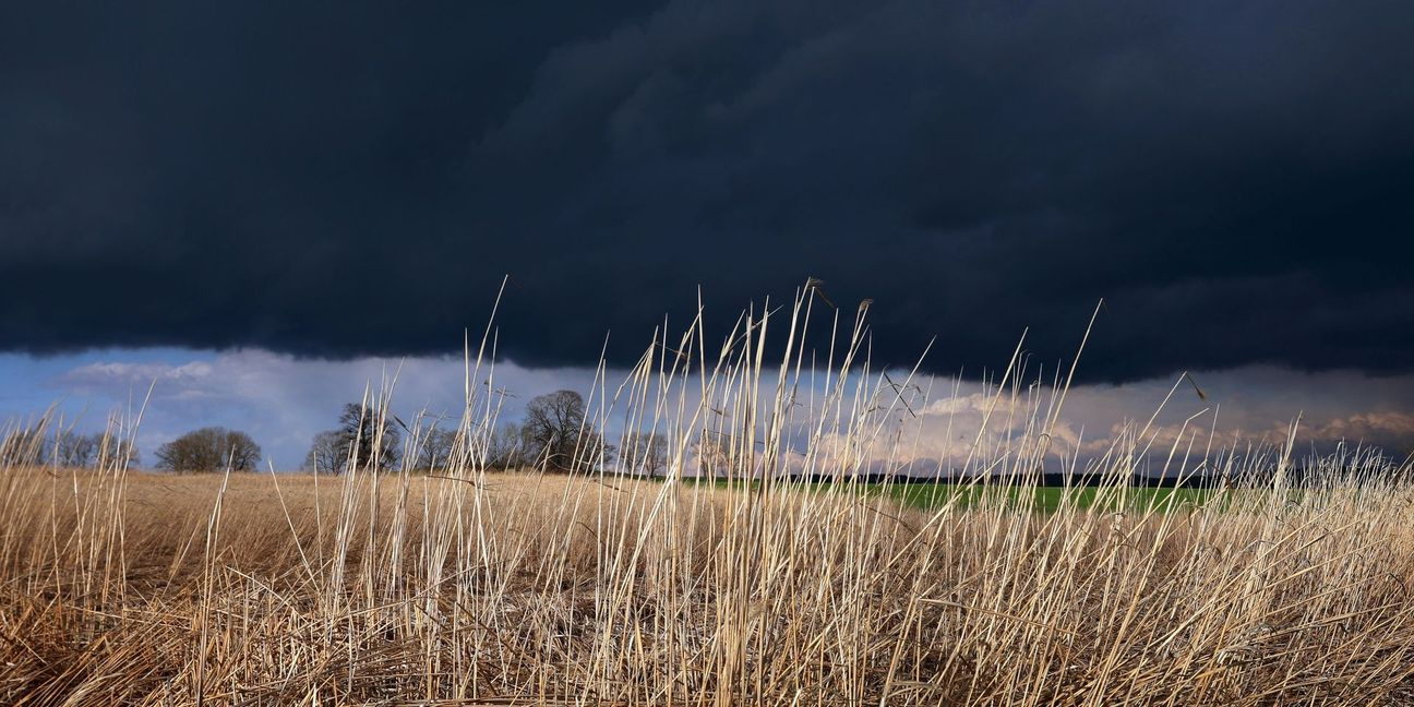 Gewitterwolken ziehen über ein Feld: Das Wetter am Abend ist durchwachsen.